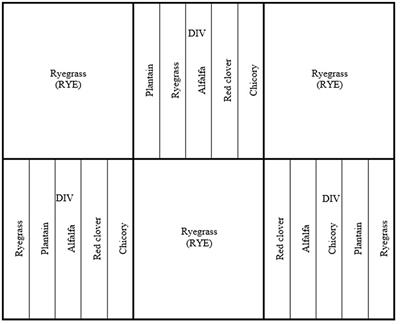 A diverse diet as an alternative to ryegrass can improve the total antioxidant status of dams at lambing